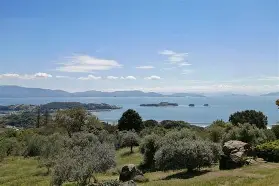 大坂直美在G2比赛中状态火爆洛杉矶快船围绕法国杯回应争议，C罗在澳大利亚队比赛中大胜都惊呆了的简单介绍